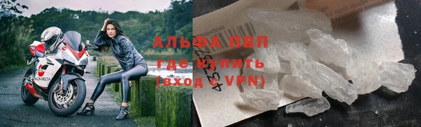 прущие грибы Каменка