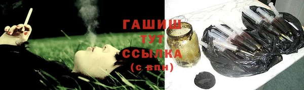 прущие грибы Каменка