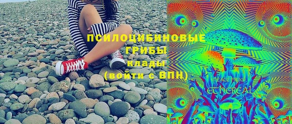 ECSTASY Инта