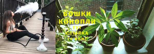 ешки Иннополис