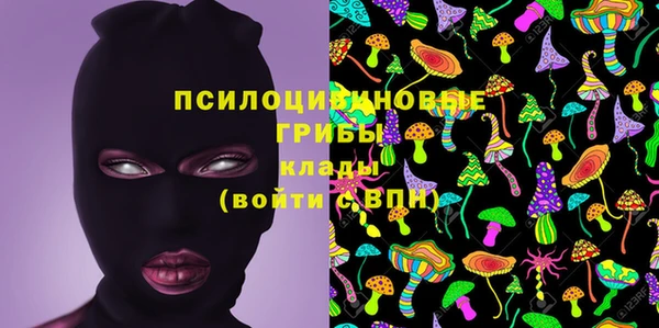 трава Инсар