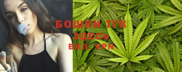 трава Инсар