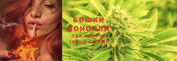 прущие грибы Каменка