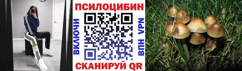MEGA   Краснослободск  Галлюциногенные грибы MAGIC MUSHROOMS 
